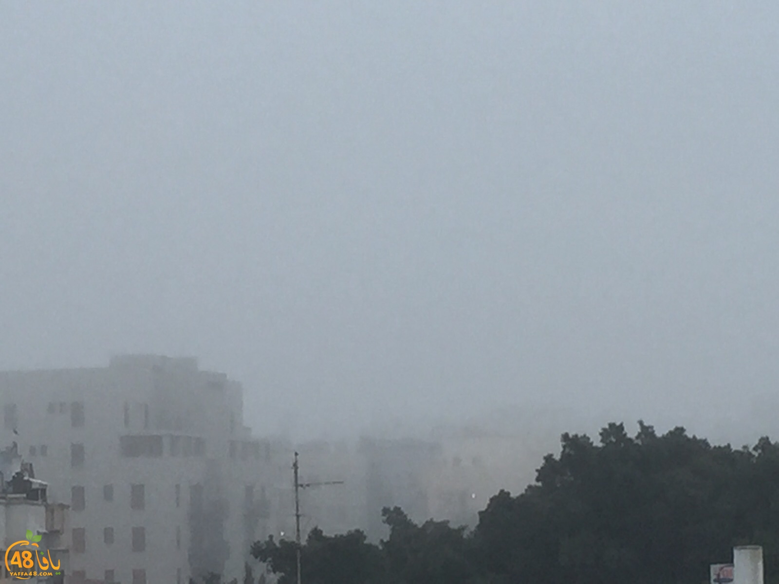 fog in yaffa (6).jpg